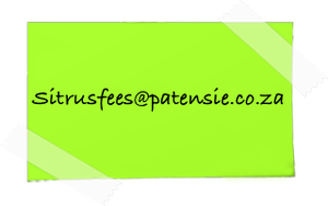 Email Us
